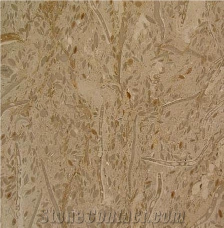 Travera Marble